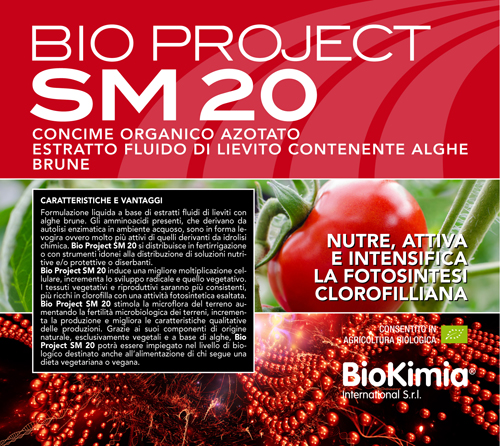 Biokimia · Bio Project
